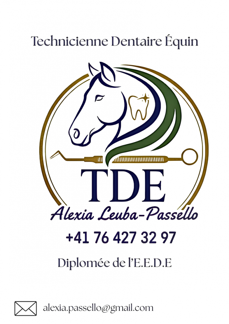 logo TDE copie